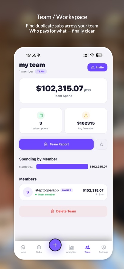 Team workspace — see who pays for what, find duplicate subscriptions, member-by-member spend